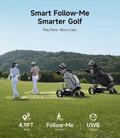 Two golfers walking on a green course, followed by two motorized golf carts under a blue sky.